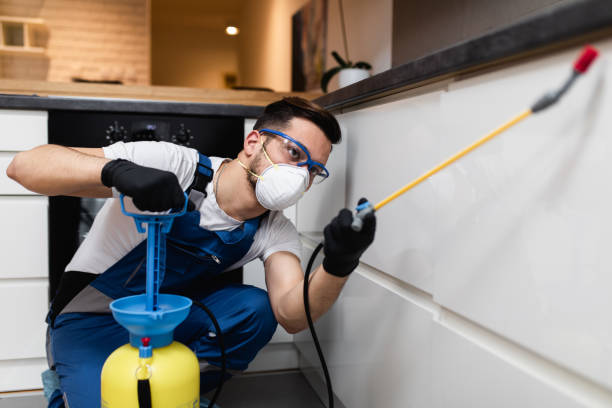 Professional Pest Control in Tonawanda, NY