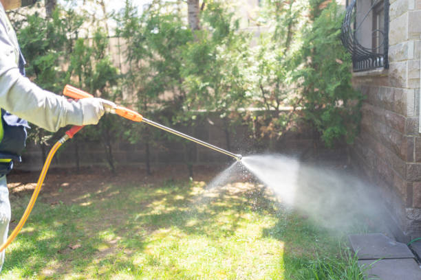 Best Best Pest Control Companies  in Tonawanda, NY