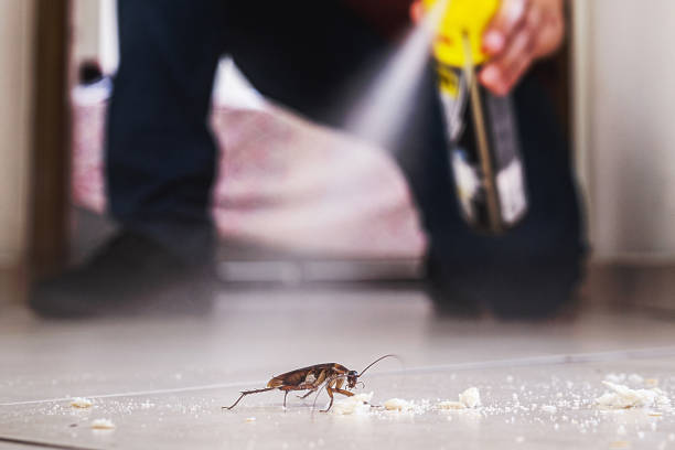 Best Best Pest Control Companies  in Tonawanda, NY