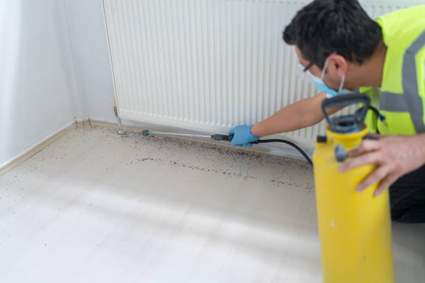Best Bed Bug Extermination  in Tonawanda, NY